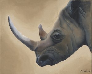 Rhino