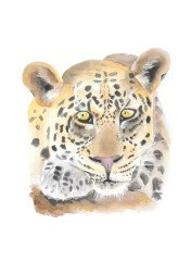 Leopard_watercolourwithlove