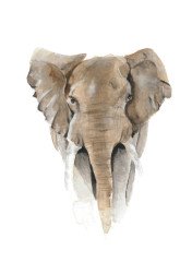 African-elephant-painted-by-watercolourwithlove-photographed-by-NightOwl-Media