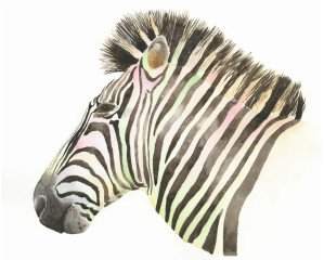 Zebra-head-and-neck-painting-by-watercolourwithlove