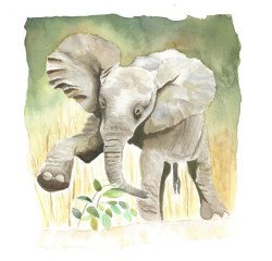 baby-elephant-painting-by-watercolour-with-love