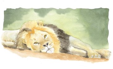 lion-painted-in-watercolour-by-watercolour-with-love