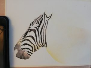 Zebra face details in watercolour