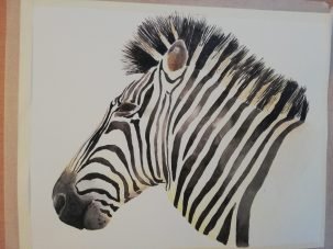 Zebra head completed in watercolour